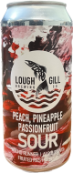 Lough Gill Wound Runner - Fruited Pastry Sour